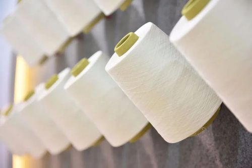 2020yarnexpo春夏紗線展復產勁頭足創新有奇招展商企業在行動一