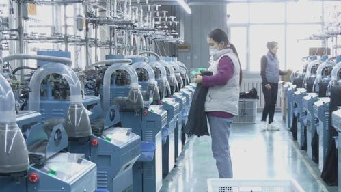 沙雅縣 立足棉花資源優(yōu)勢(shì) 讓 白色 產(chǎn)業(yè)大有可為