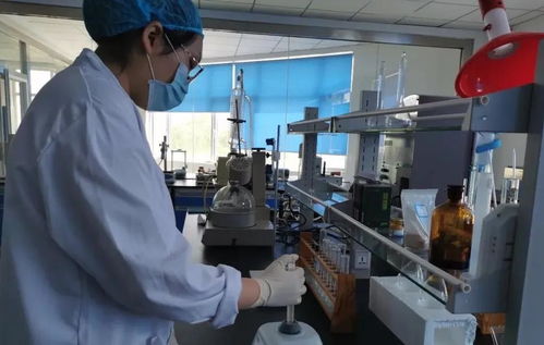 媒體企業行 走進君星坊