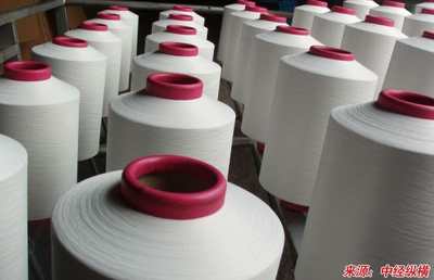 我國空氣變形紗的紡紗技術(shù)及發(fā)展的融資計劃書