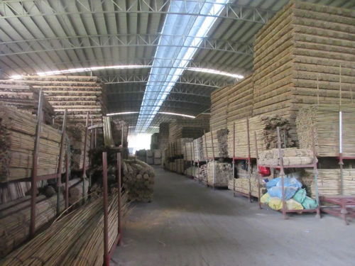 懷集這兩個(gè)基地榮獲 肇慶市巾幗創(chuàng)業(yè)示范基地 稱號(hào)