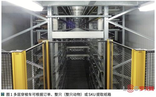 澳大利亞ncmc肉類加工廠提高公司競(jìng)爭(zhēng)力的秘訣 自動(dòng)化物流系統(tǒng)