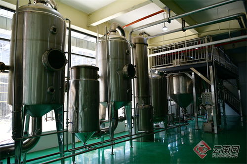 雅樂鮮云南工廠建成投產 推動 云菌 精深加工上臺階