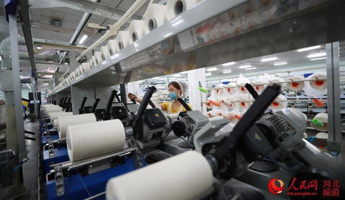 河北東光 科技賦能 高質(zhì)量產(chǎn)品搶占國際市場