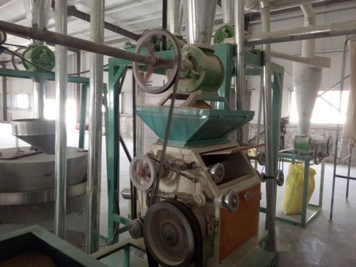 紅河鎮(zhèn)徐塬村 小小磨坊轉(zhuǎn)出扶貧真情