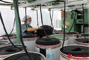 寧波鎮海 綠色制造助推印染加工產業轉型升級