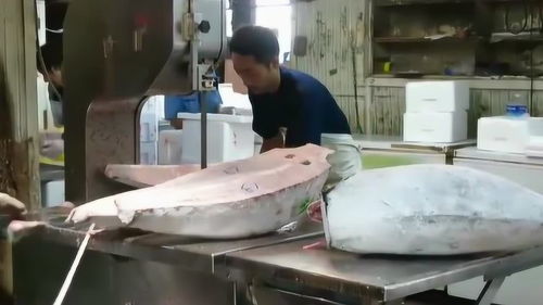 高效精準 現代加工廠處理冰凍金槍魚的印染加工技術