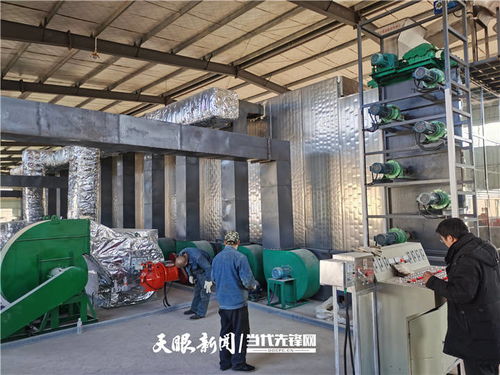 施秉 萬畝魔芋產業升級，深加工與紡紗雙輪驅動